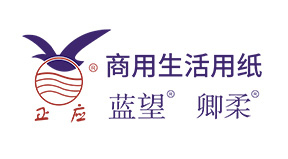正应