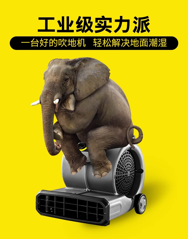 卡赫AB 28 Classic干风机 Karcher吹风机 地面吹干机