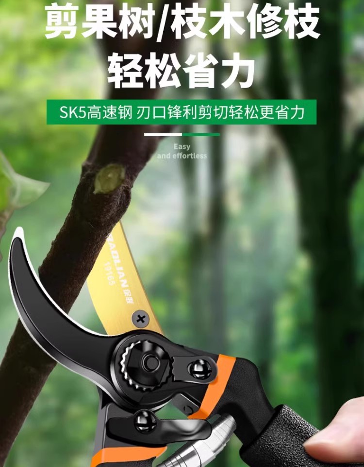 保联剪枝剪刀园林花艺剪刀多功能果树修剪专用粗大枝剪园艺工具